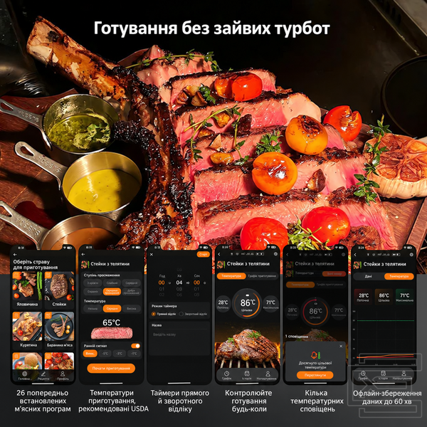 BBQ термометр Inkbird INT-21-B цифровий з Bluetooth 5.4 на 1 бездротовий щуп для м'яса, гриля, духовки та коптильні | ультратонкий щуп 5 мм, водозахист IP67, дальність до 100 м, точність &plusmn;1&deg;C | термометр для стейків з додатком, таймером та сигналізацією | INKB253 фото