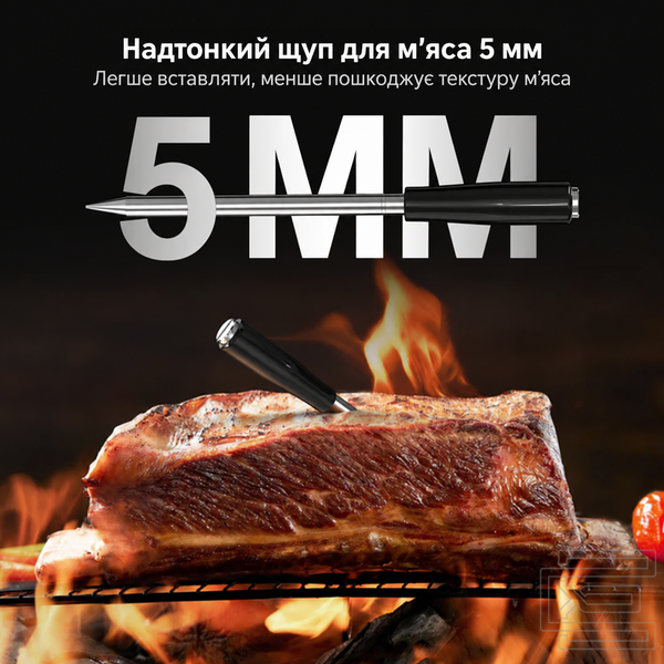 BBQ термометр Inkbird INT-21-B цифровий з Bluetooth 5.4 на 1 бездротовий щуп для м'яса, гриля, духовки та коптильні | ультратонкий щуп 5 мм, водозахист IP67, дальність до 100 м, точність &plusmn;1&deg;C | термометр для стейків з додатком, таймером та сигналізацією | INKB253 фото