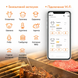 BBQ термометр Inkbird IBBQ-4T Wi-Fi на 4 щупи для м'яса, гриля, духовки та коптильні | мобільний додаток INKBIRD | захист IPX3 | акумулятор до 26 годин | INKB126 фото 5