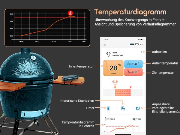 BBQ термометр Inkbird INT-11X-B Peacock Green цифровий із Bluetooth бездротовий на 1 щуп (INKB229) | INKB229 фото