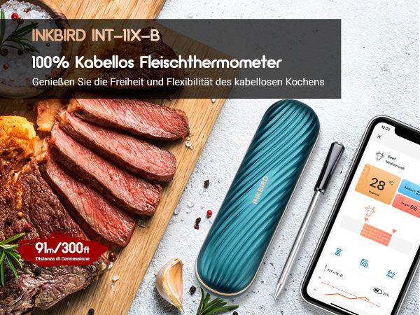 BBQ термометр Inkbird INT-11X-B Peacock Green цифровий із Bluetooth бездротовий на 1 щуп (INKB229) | INKB229 фото